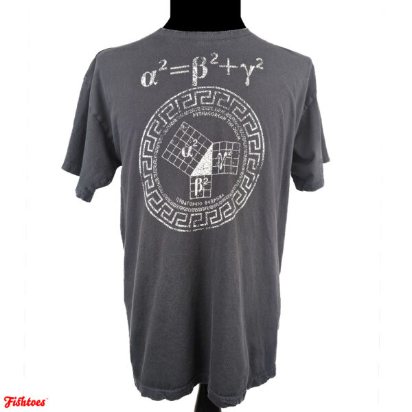 B & C Collection Math Mathematical Equation Print Graphic Grey T-Shirt Men's XL