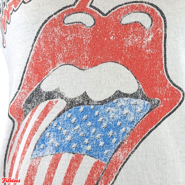 Rolling Stones American Flag Printed Print